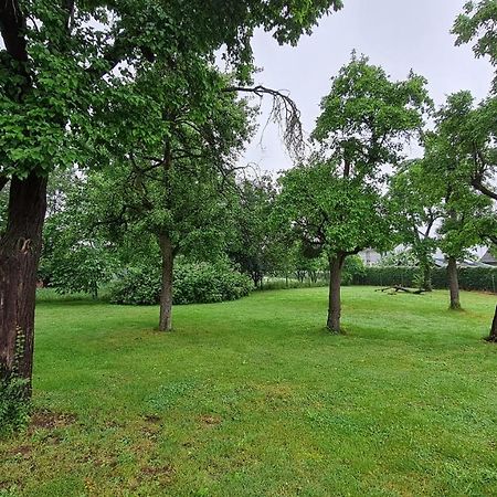 Eifelhof Mit Obstbaumwiese 尼蒂戈恩 外观 照片