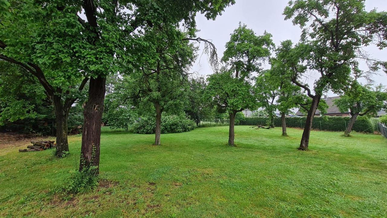 Eifelhof Mit Obstbaumwiese 尼蒂戈恩 外观 照片