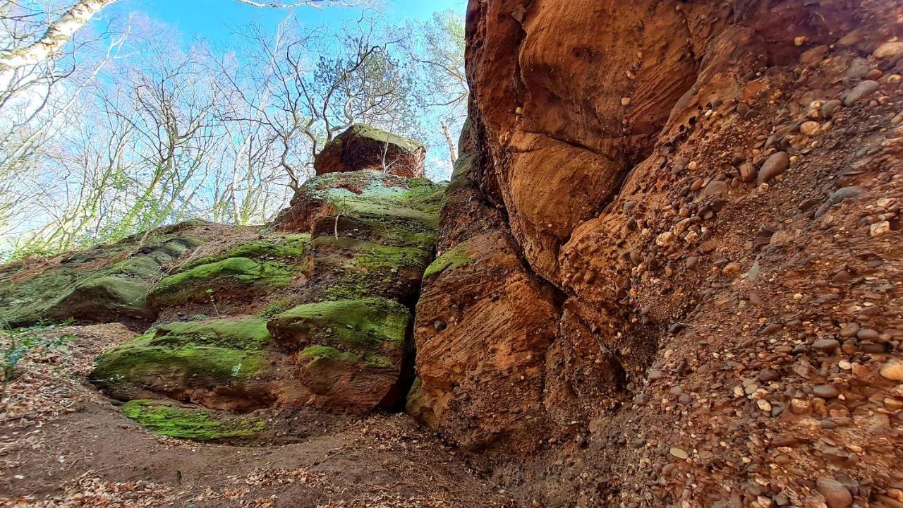 Eifelhof Mit Obstbaumwiese 尼蒂戈恩 外观 照片